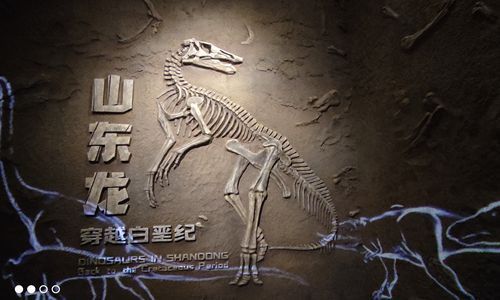 山东博物馆 一 山东龙穿越白垩纪恐龙探索营