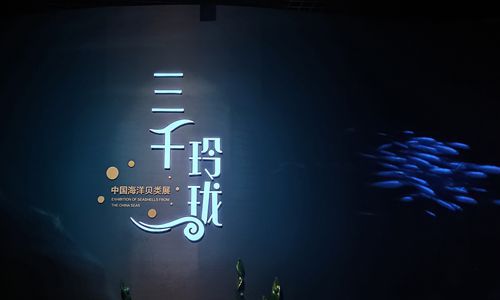 山东博物馆 一 “三千玲珑”中国海洋贝类展